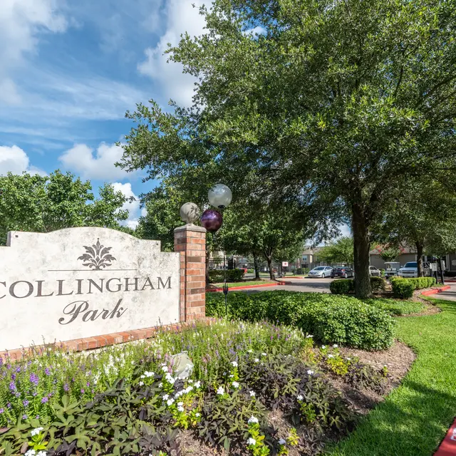 Collingham Park - Grass, Nature, Outdoors