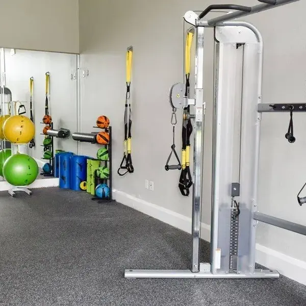 Palazzo at Cypruswood fitness center with weights, medicine balls, and exercise balls