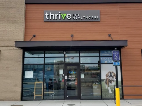 Optima at the Exchange Full Site - Building, Shop, Dog