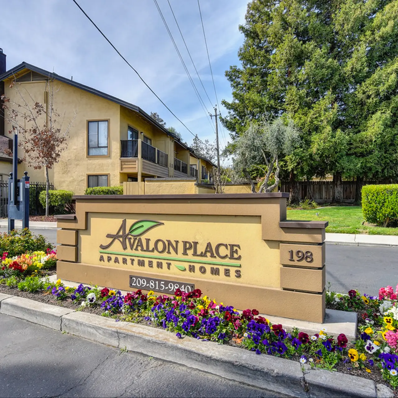 Avalon Place - Building, Urban, Plant