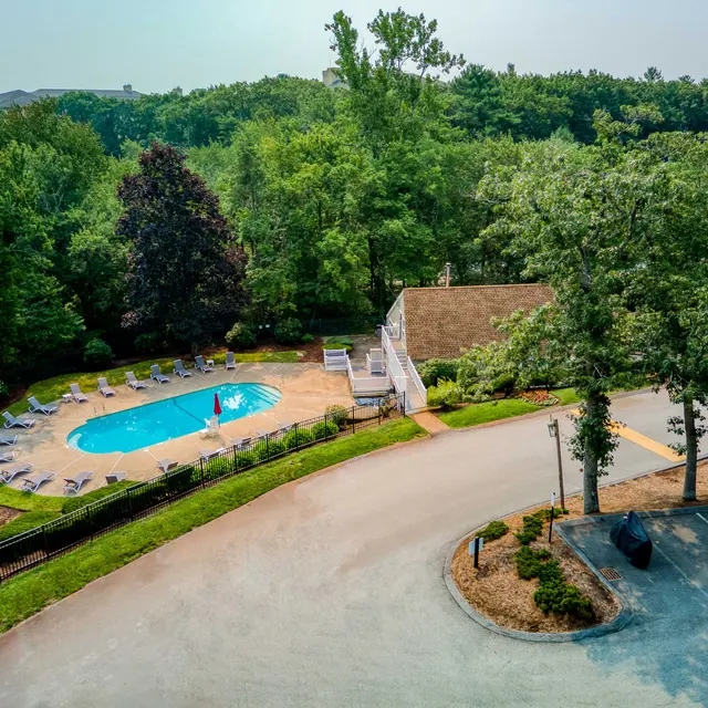 Aerial view of a swimming pool surrounded by green trees and a building. Sun loungers are arranged around the pool, and a small path leads to the entrance of the facility.