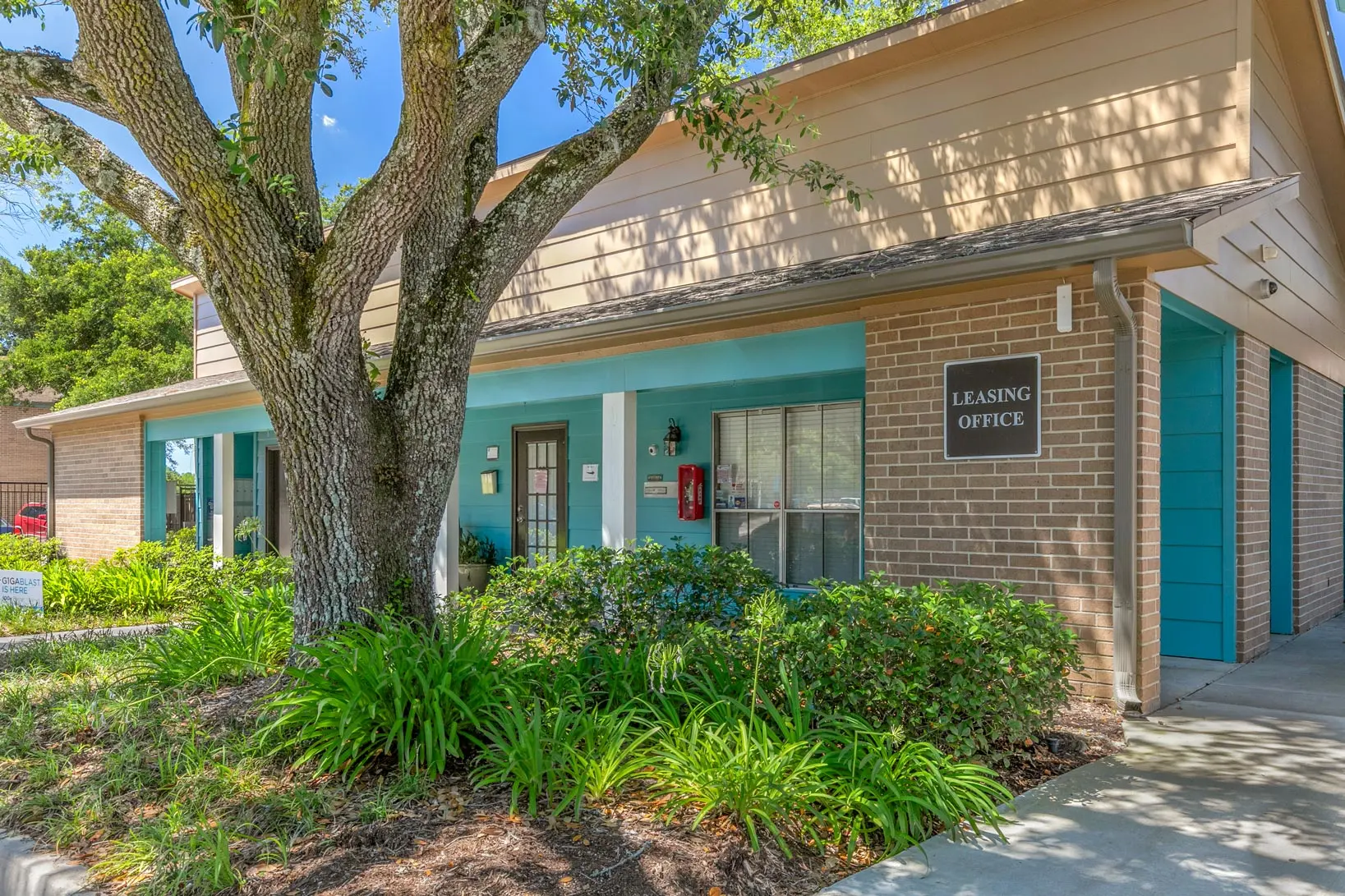 Bayou Oaks - Shelter, Tree, Oak