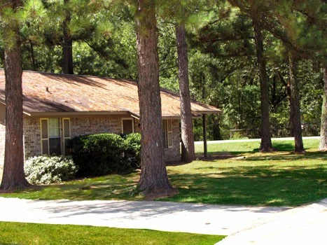 Pine Hill Estates Pine Hill Estates - Building, Plant, Nature