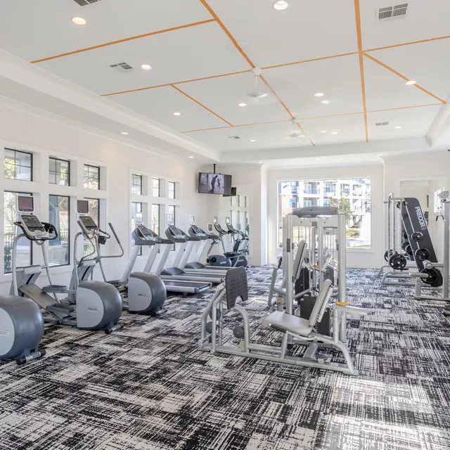 Centreport Lake The fitness gym at Centreport Lake Apartments features multiple cardio and weight lifting equipment.