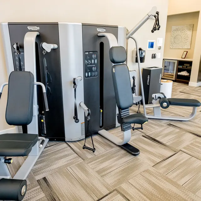 The Preserve at Willow Springs - Working Out, Fitness