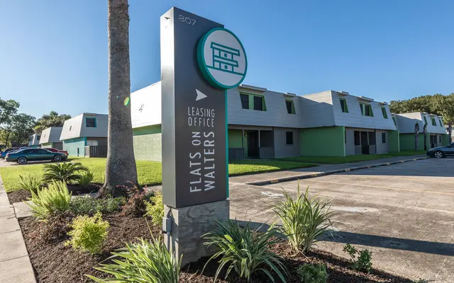 Flats on Walters Flats on Walters - Agavaceae, Plant