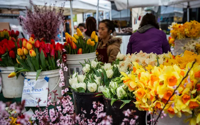 The Ballard Independent - Flower Stand The Ballard Independent - Flower Stand