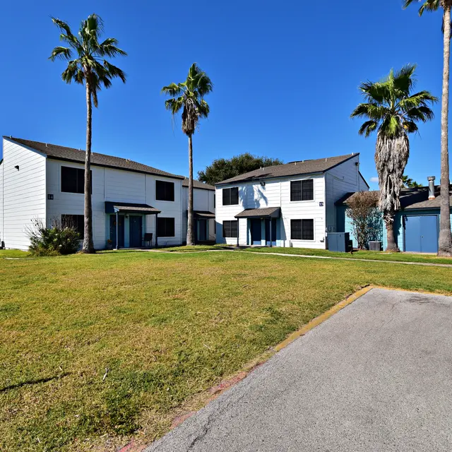 Land's End - Tree, Grass