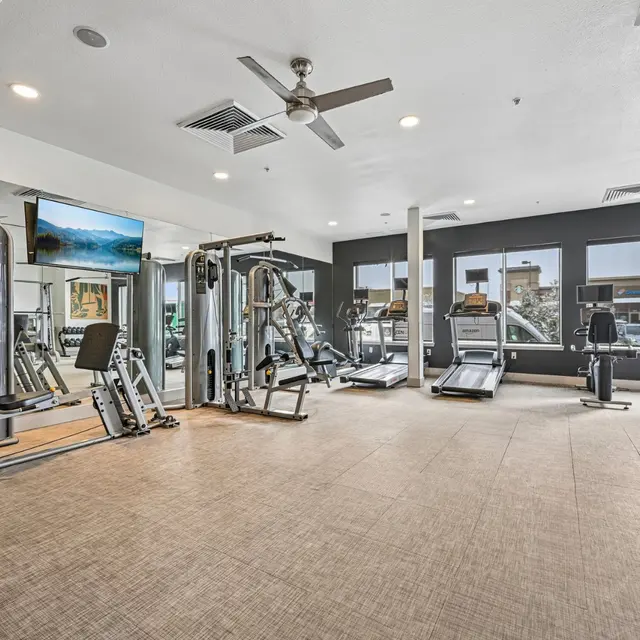 Modern Gym Interior A modern gym interior with fitness equipment including treadmills, weight machines, and a large wall of windows allowing natural light to fill the space.