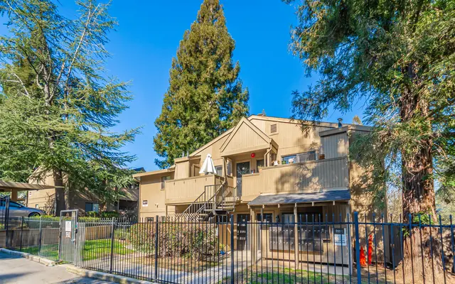 Donner at Fair Oaks - Neighborhood, Tree, Outdoors