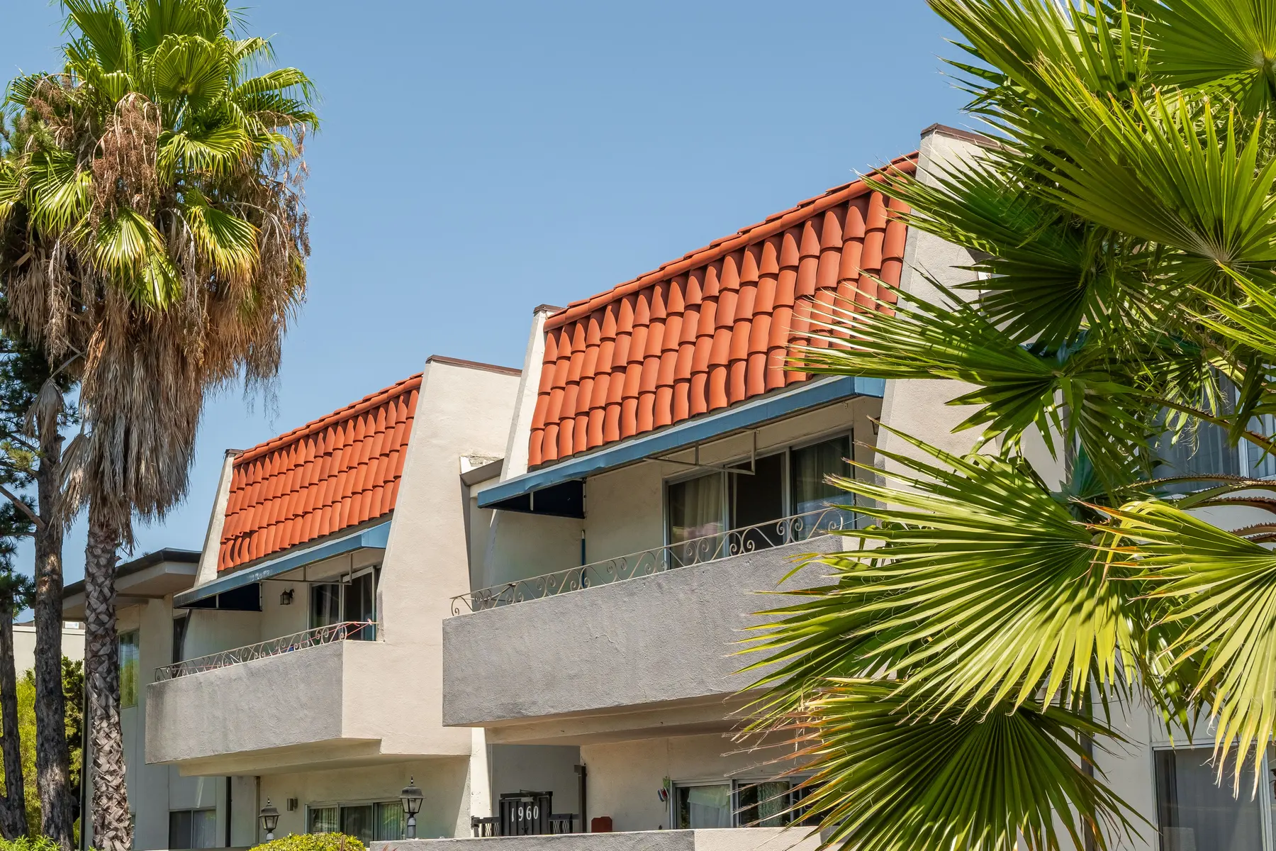 Morse Plaza - Summer, Housing, Condo