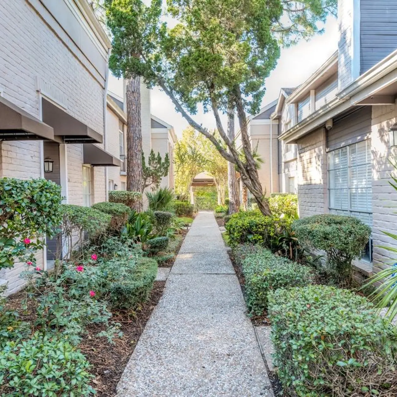Woodway Garden Townhomes - Path, Plant