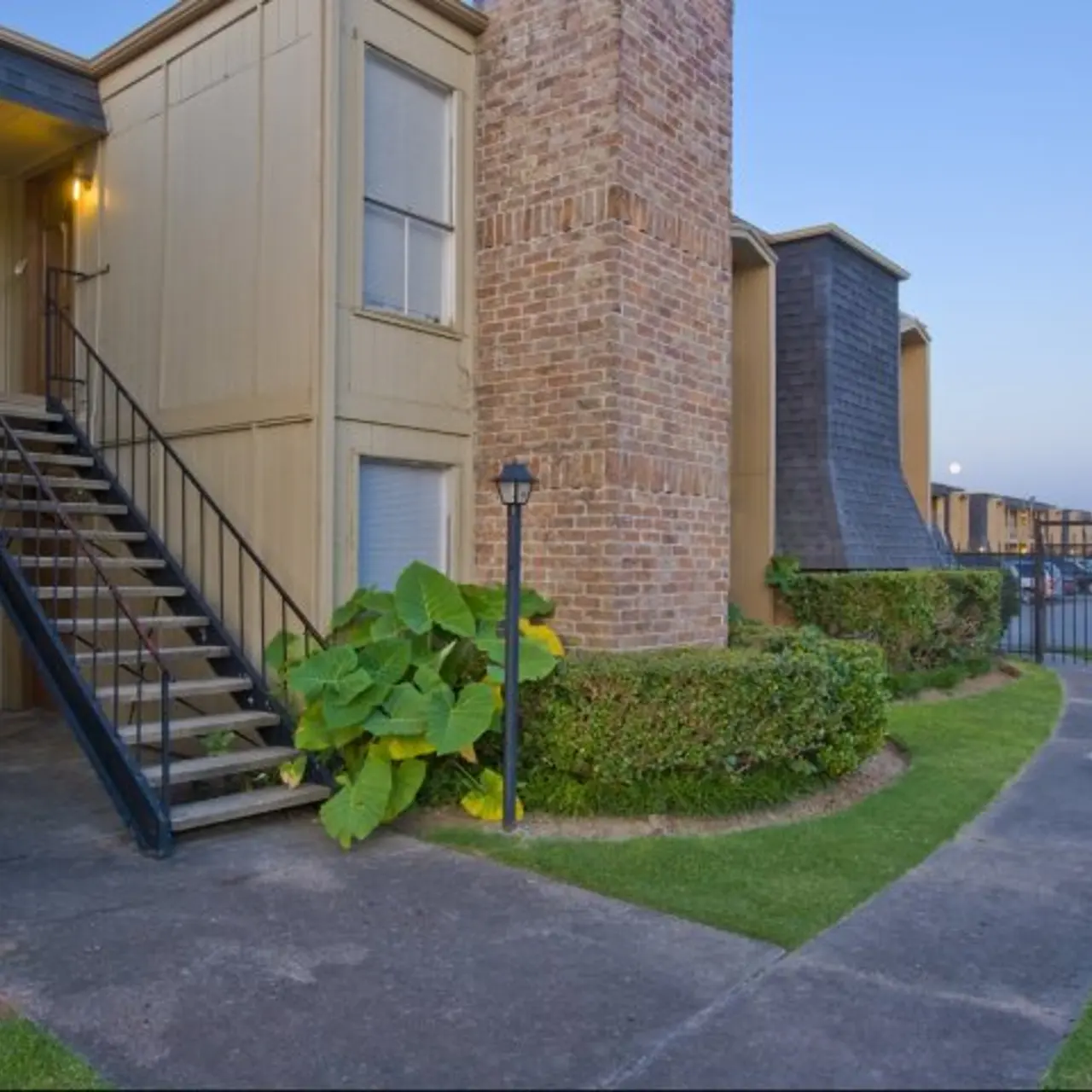 Pine Forest Place & Park - Grass