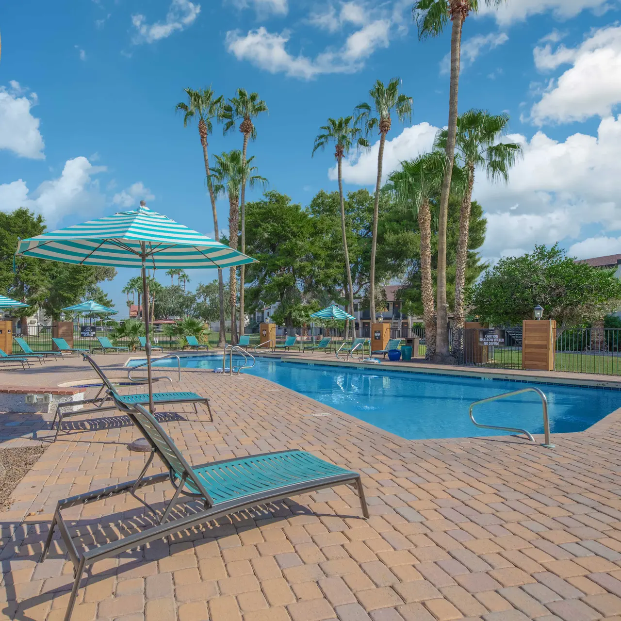 A bright swimming pool area with palm trees, lounge chairs, and umbrellas on a sunny day. The pool is surrounded by a paved deck and green grass, under a clear blue sky with fluffy white clouds.