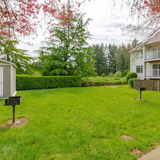 A green lawn area with a shed, surrounded by trees and a multi-story building in the background.