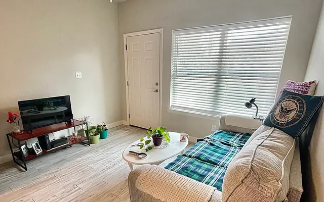A cozy living room featuring a light-colored couch with a plaid throw, a small coffee table with plants, a television on a stand, and a window with blinds, all set in a bright, neutral-toned space.