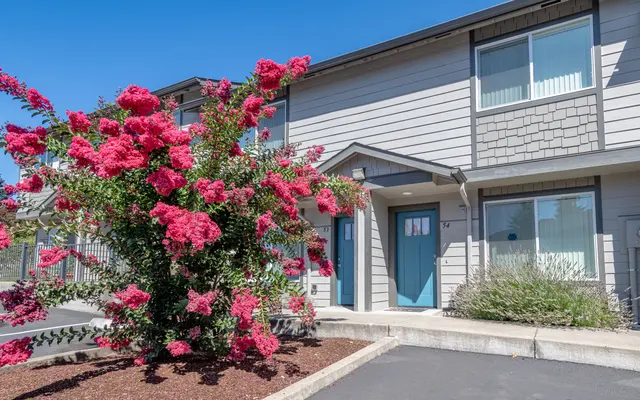 A residential building with a vibrant flowering bush in front, featuring pink blossoms against a sunny blue sky.