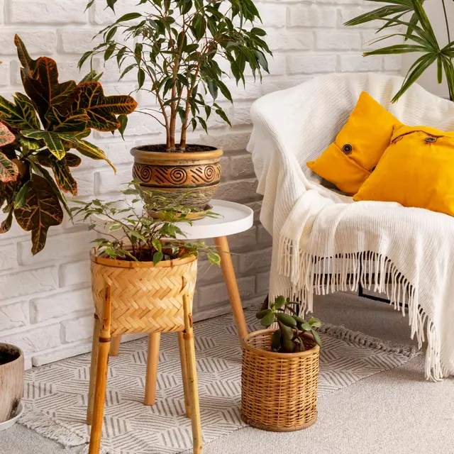 A cozy interior scene featuring a white armchair with yellow cushions, surrounded by various indoor plants in decorative pots, against a light brick wall.