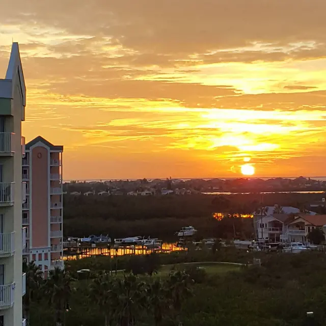 Landings at Sea Forest - Nature, Outdoors, Sky