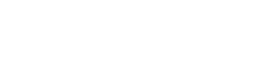 Falls At Borough Park