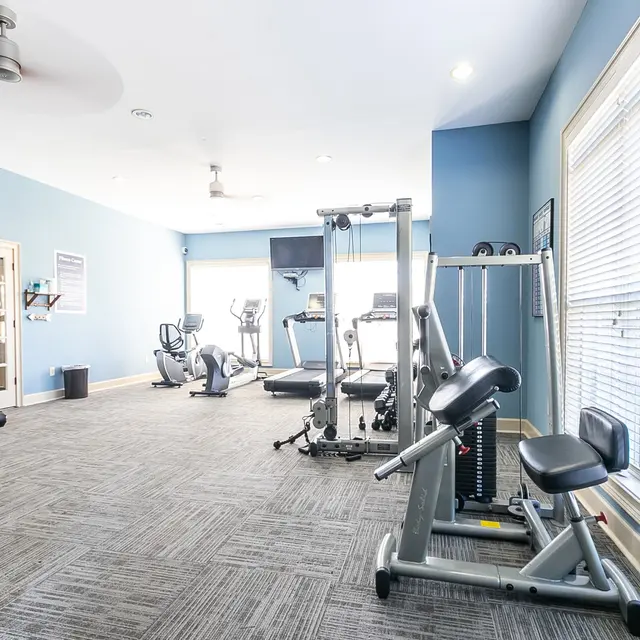 Summer Lake Summer Lake - Gym, Sport