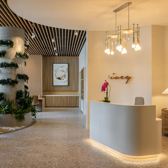 The Ivey on Boren - Flooring, Floor, Furniture The Ivey on Boren - Flooring, Floor, Furniture