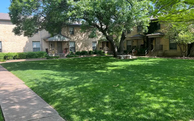 The Reiger The Reiger - Grass, Backyard, Nature