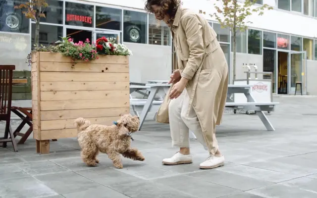 Rowland Colors - Plant, Pet, Jar