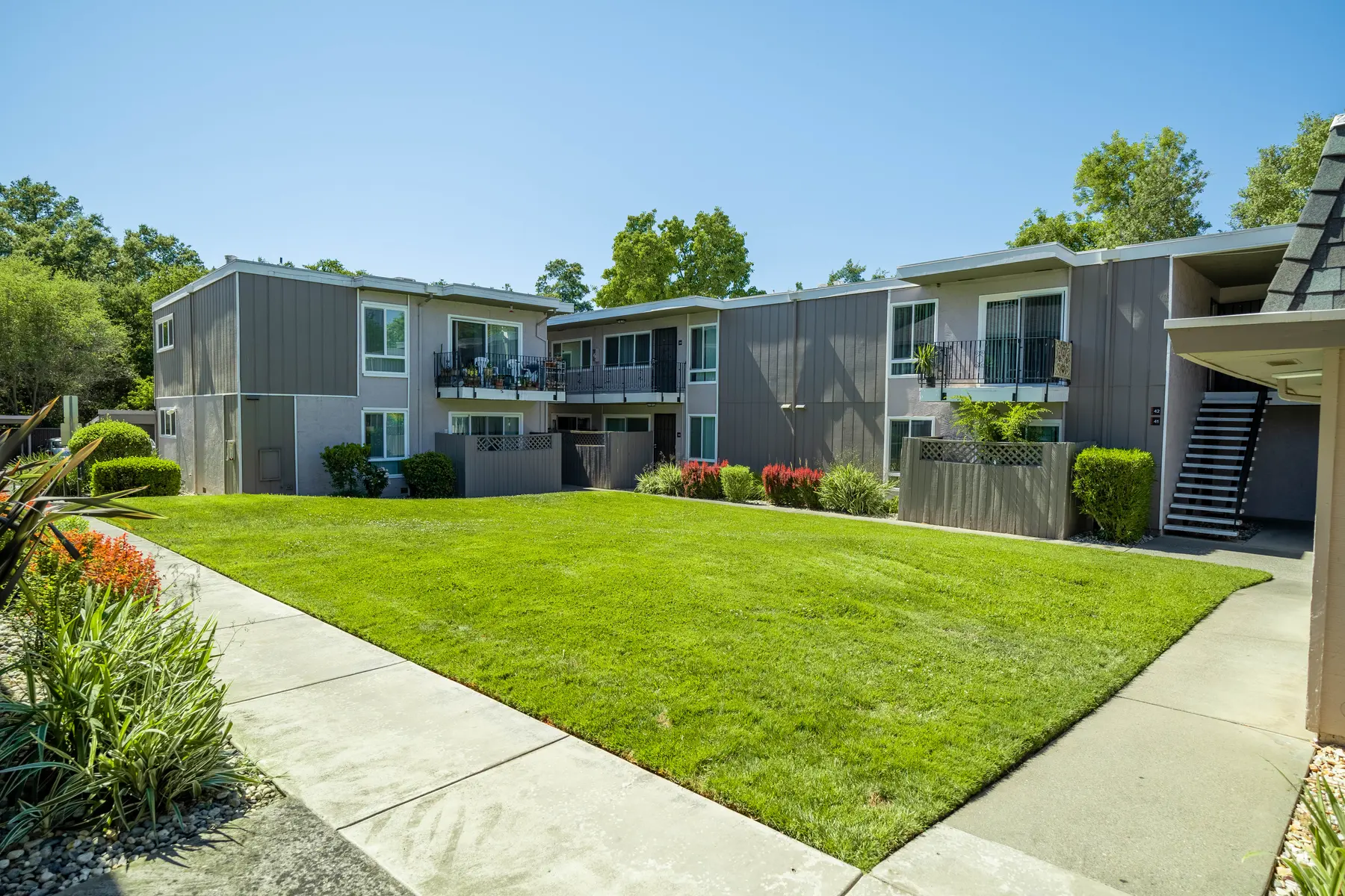 Creekside Oaks - Grass, Plant, Backyard