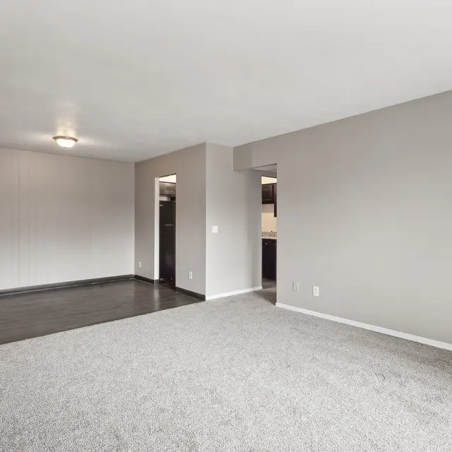 A spacious living room with a combination of carpet and hardwood flooring. The walls are painted light gray, and there is a ceiling light fixture. A doorway leads to a kitchen or other room in the background.
