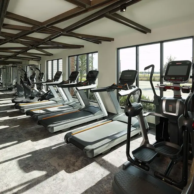 A spacious and bright gym interior featuring multiple treadmills and ellipticals, large windows allowing natural light, and a modern design with wooden beams on the ceiling.