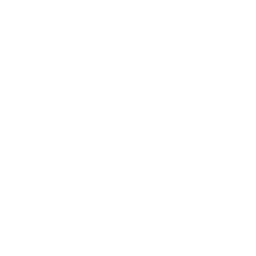 Celle Assets Corporate