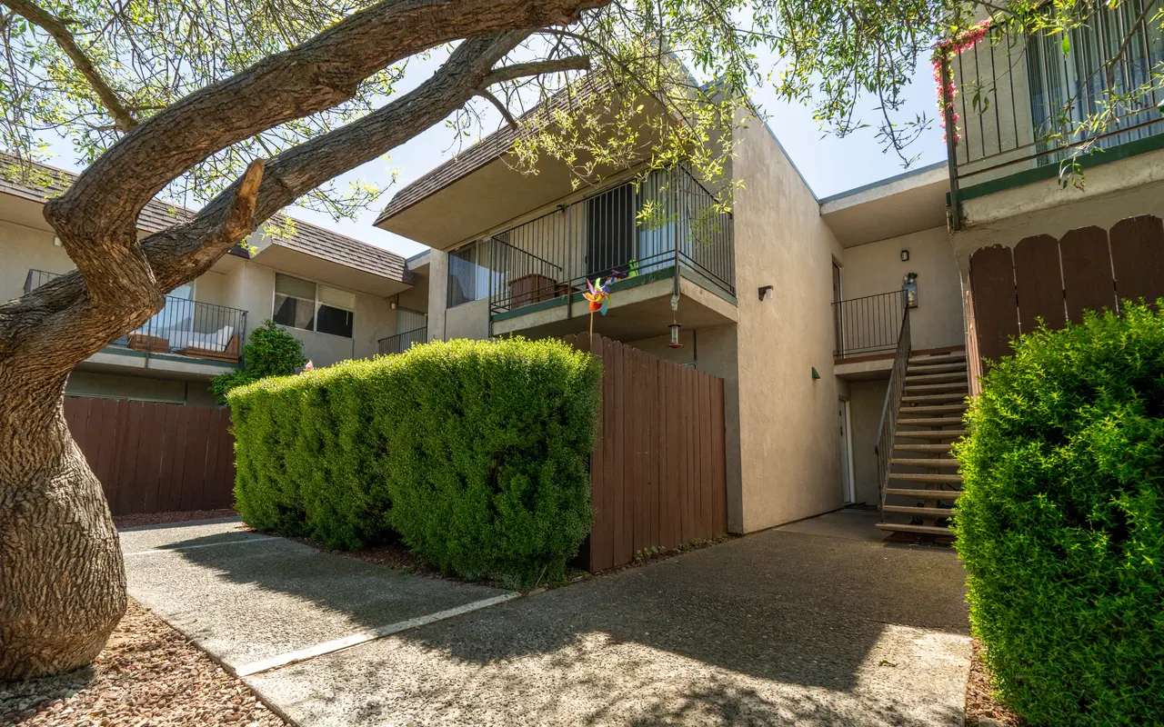 Cottage Square - Neighborhood, Tree, City