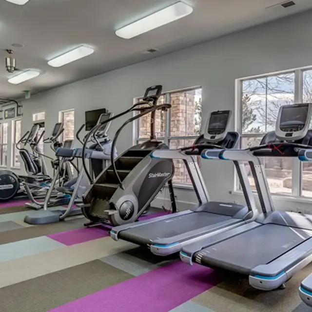 Contour 39 - Fitness, Sport, Working Out