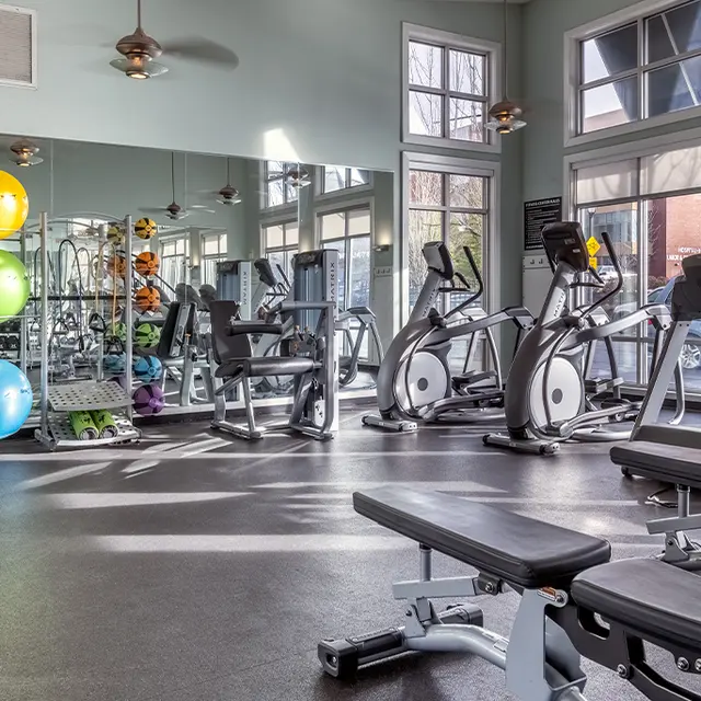 Palladia - Gym, Sport