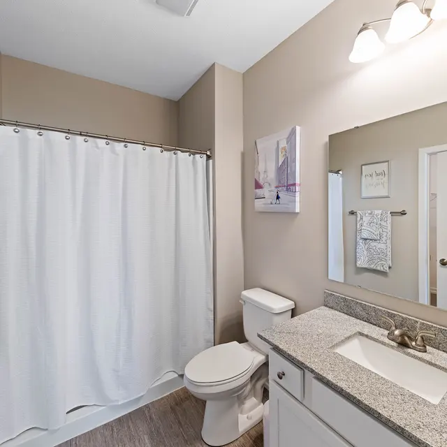 The Links at Franklin The Links at Franklin - Corner, Sink, Painting