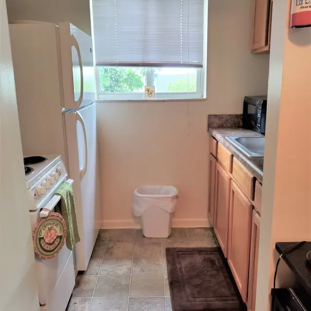 Somerset - Floor, Indoors, Interior Design