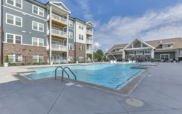 Waterleaf at Old Franklin