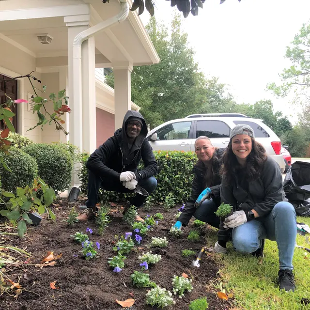 Dinerstein Dinerstein - Gardening, Garden