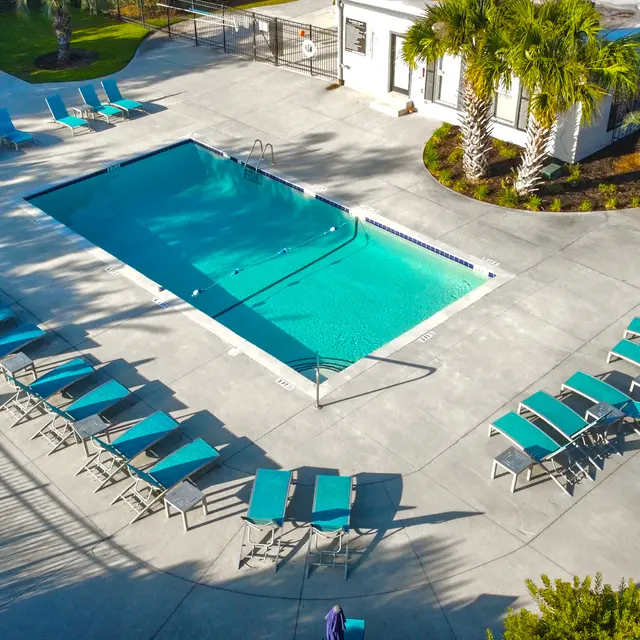 Aerial view of a swimming pool area with a rectangular pool surrounded by blue lounge chairs and palm trees.