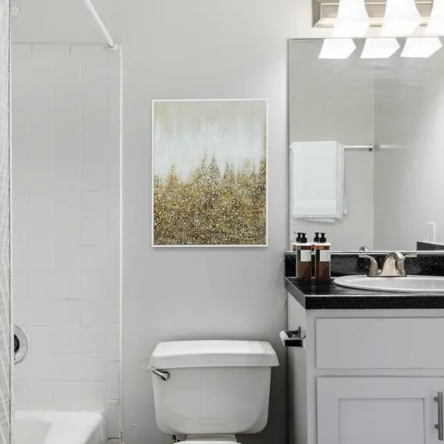 A modern bathroom featuring a shower, toilet, sink with a black countertop, and a nature-themed artwork on the wall.