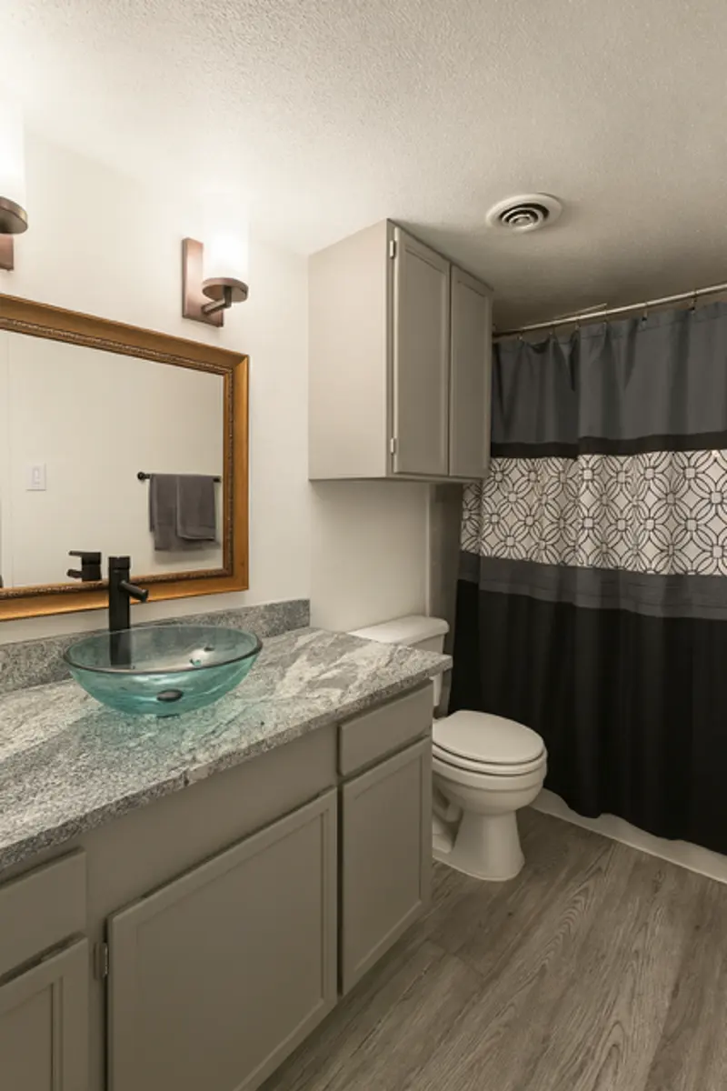 Modern Bathroom Interior A contemporary bathroom featuring a granite countertop with a glass vessel sink, gray cabinets, a large mirror, a toilet, and a shower curtain with geometric patterns.