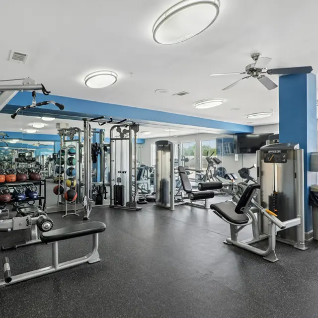 A spacious gym interior featuring various workout equipment, including weight machines, free weights, and cardio machines. The gym has a modern design with ample natural light coming from large windows.
