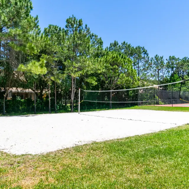 An empty sand volleyball court surrounded by tall trees and grass, with a blue sky in the background.