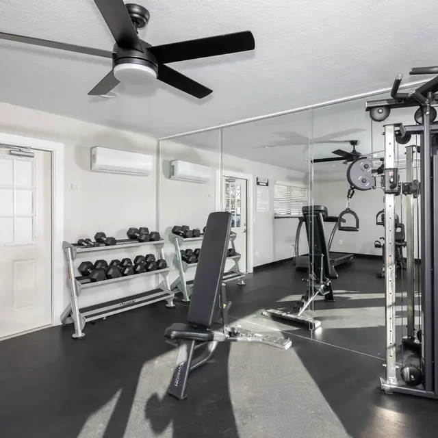 Interior view of a modern gym with exercise equipment, mirrors, and free weights.
