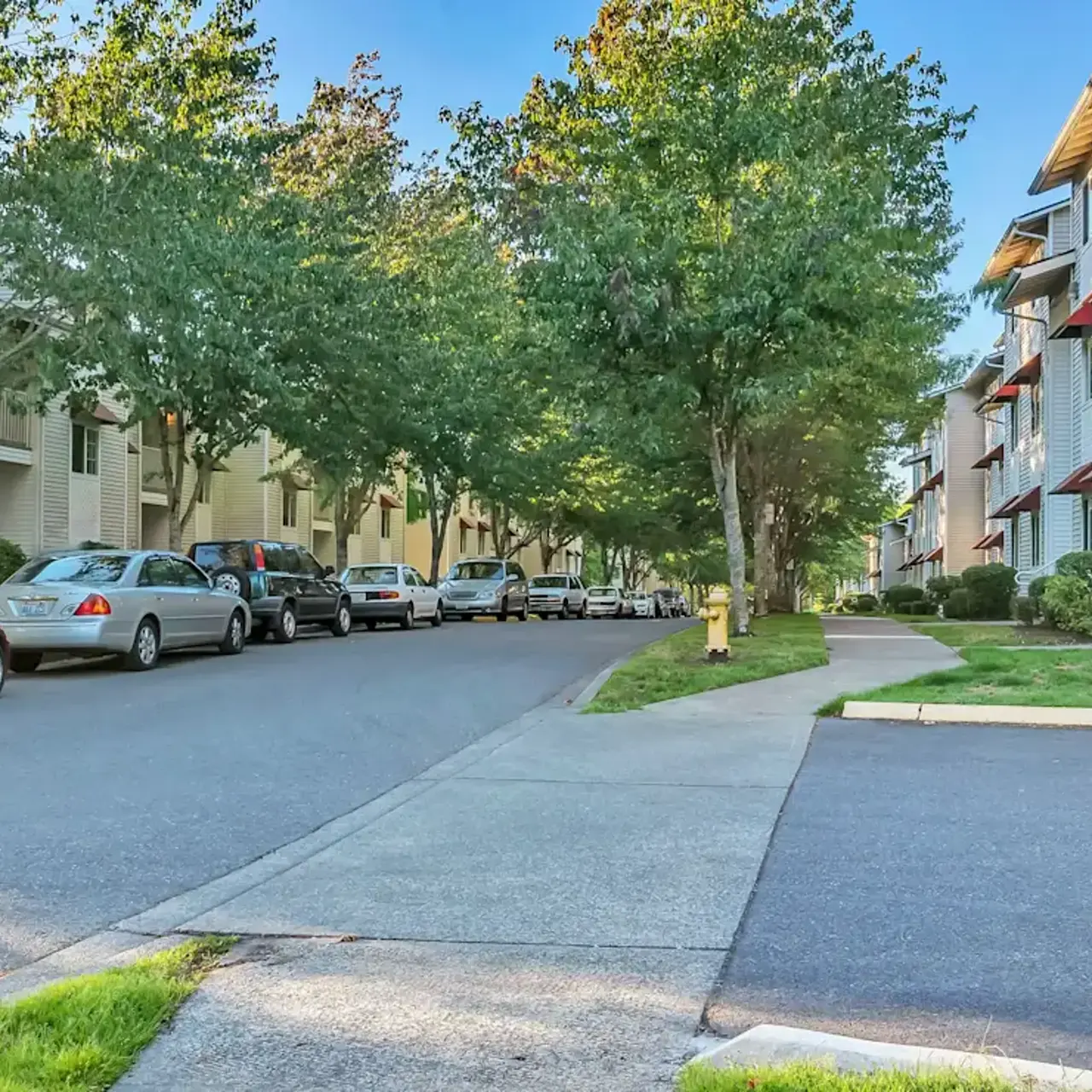 A scenic view of a residential street lined with trees and parked cars, leading to apartment buildings under a clear blue sky.