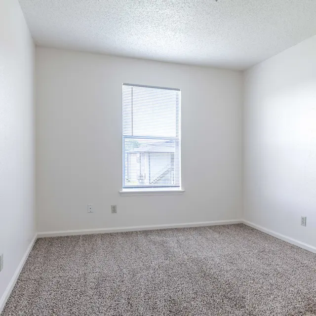 A vacant room with beige carpet, light-colored walls, and a window allowing natural light to enter.