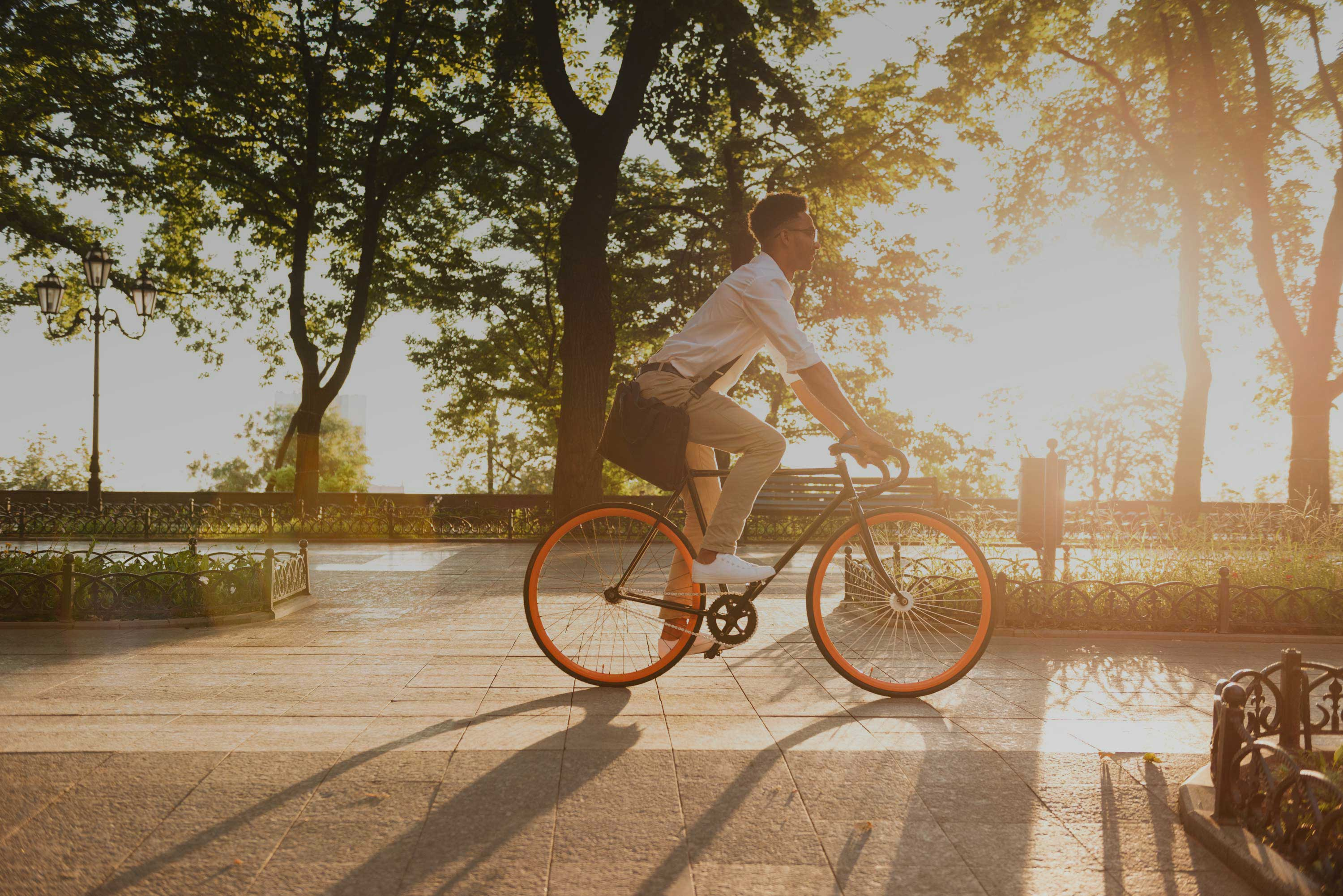 Sunset Bike Ride A man riding a bicycle during sunset in a peaceful park setting.