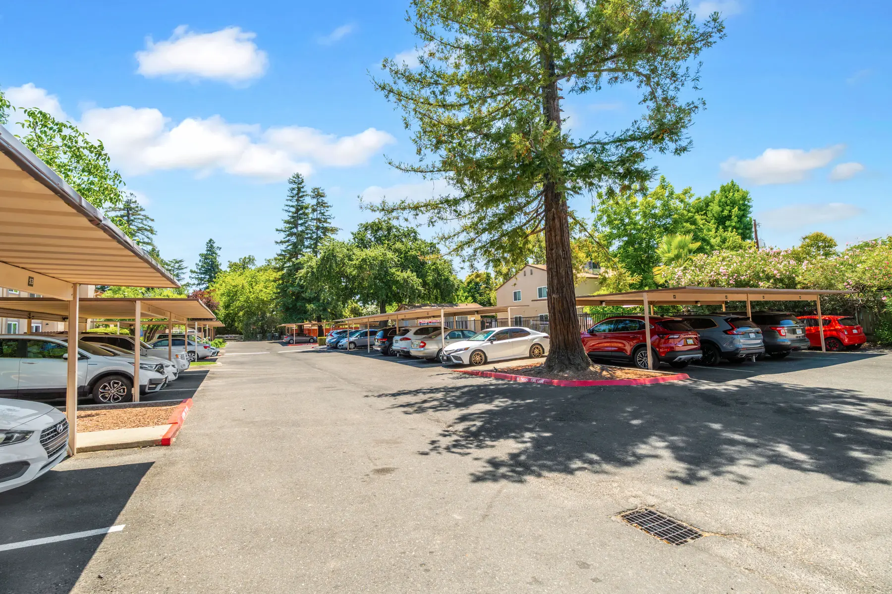 A spacious parking lot with shaded carports, surrounded by trees and greenery under a blue sky with fluffy clouds.