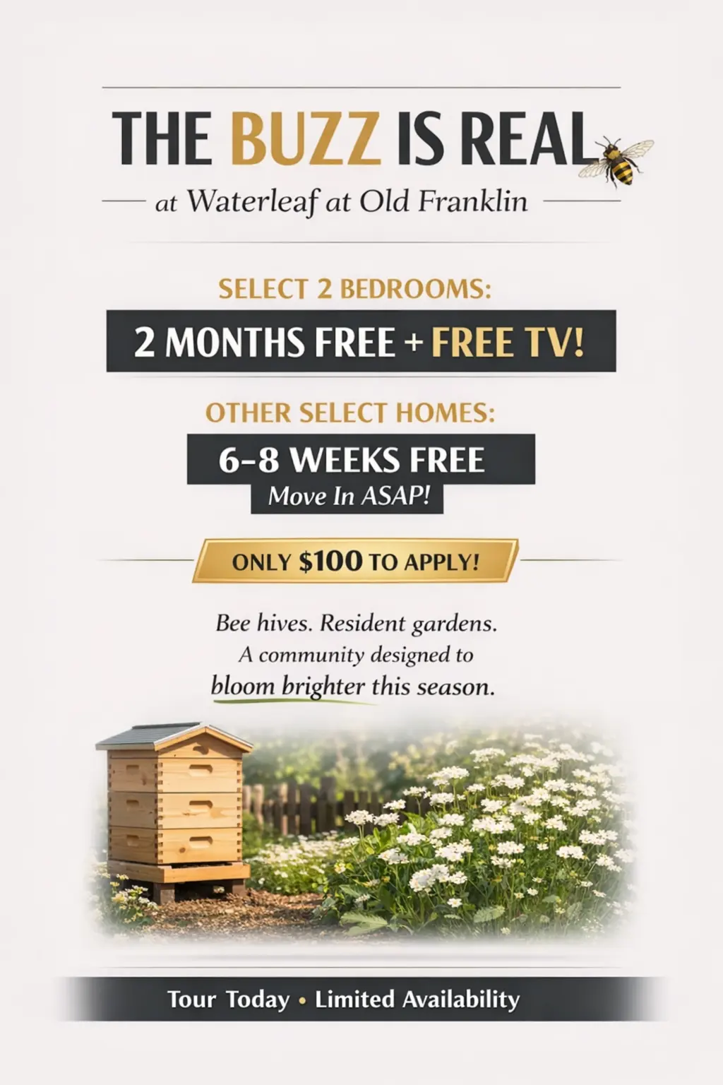 Promotional flyer for Waterleaf at Old Franklin offering apartment rental deals.